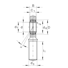 桿端軸承 GAR25-DO, 根據(jù) DIN ISO 12 240-4 標(biāo)準(zhǔn)，帶右旋外螺紋，需維護(hù)